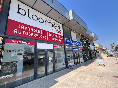 Bloomest Miele Quesada Laundry - Cdad. Quesada