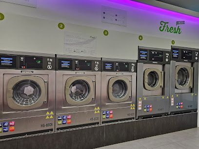 Fresh Laundry Vic - Vic