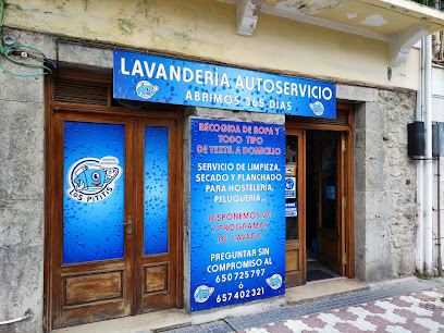 Lavandería autoservicio los pititis - Laredo