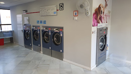 Lavandería Bloomest Alcobendas Norte - Alcobendas