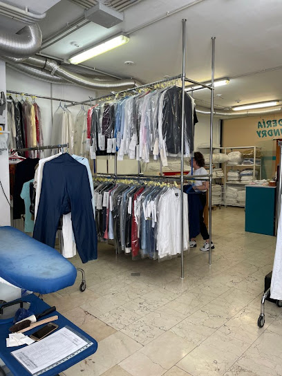 Professional express Dry Cleaning Tintorería - Marbella