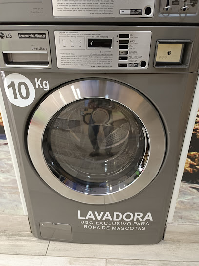 Roupa Limpa - Vigo