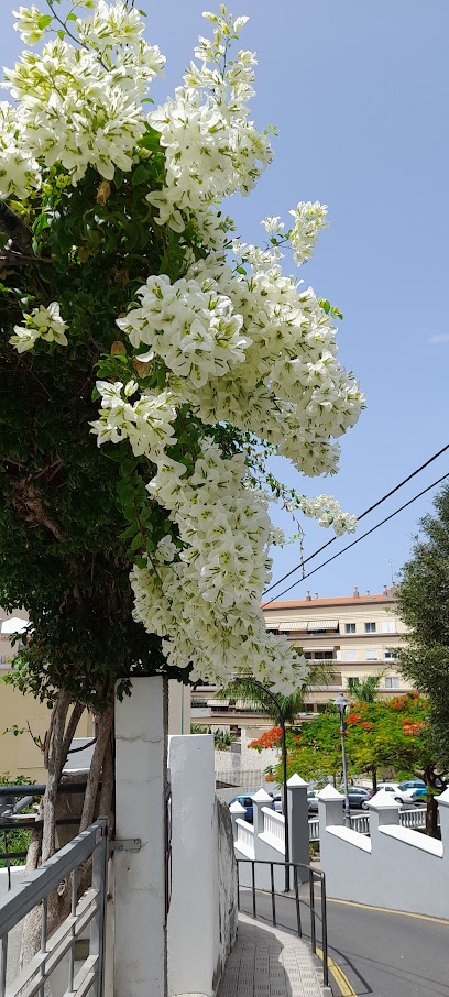 Stiro lavandería tintorería. - Puerto de la Cruz